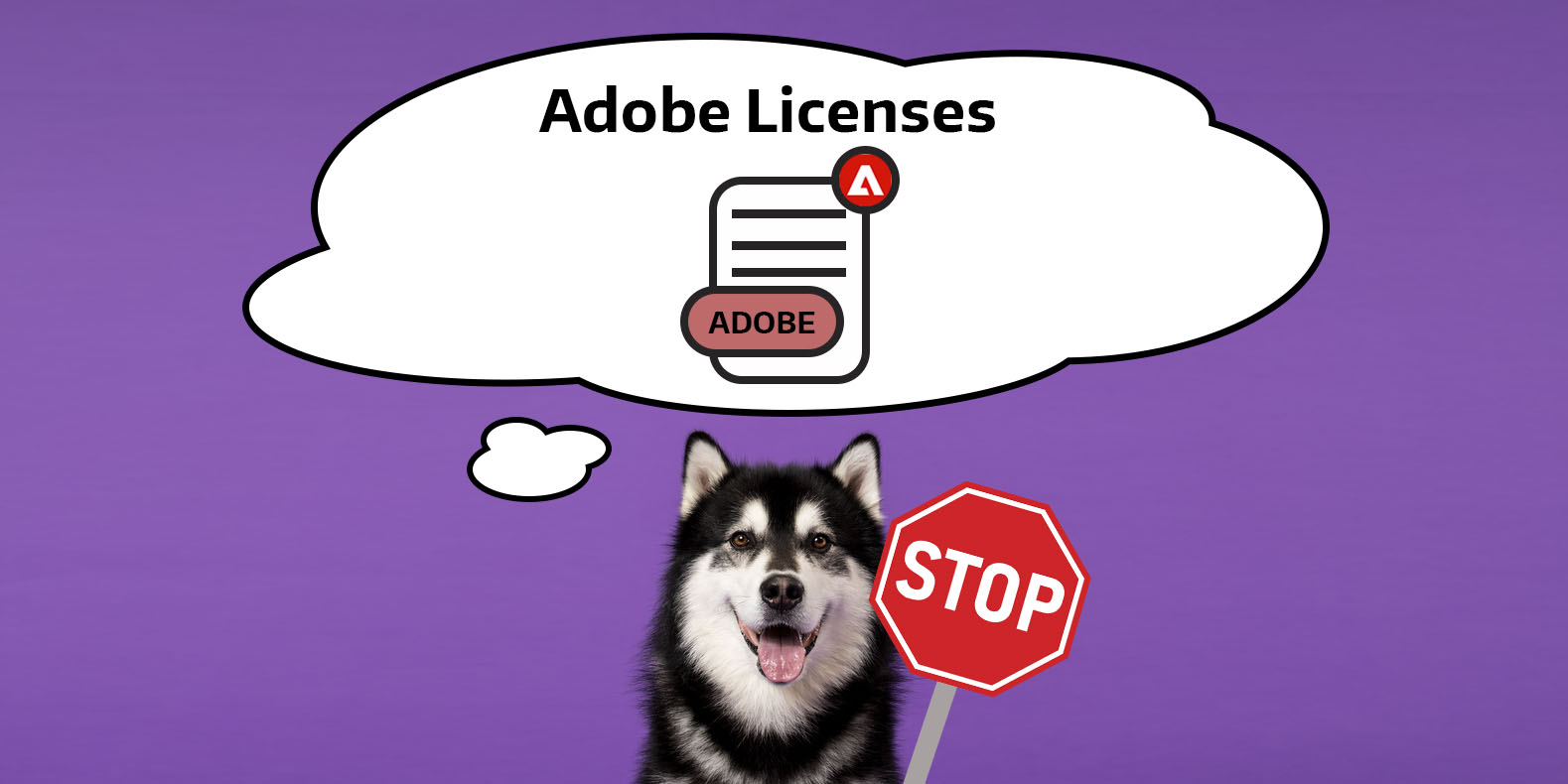 Dubs thinking about Adobe Licenses while holding a STOP sign