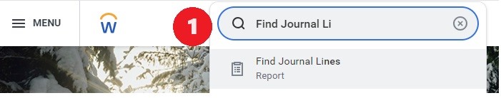 Find journal lines being input into Workday's search bar.