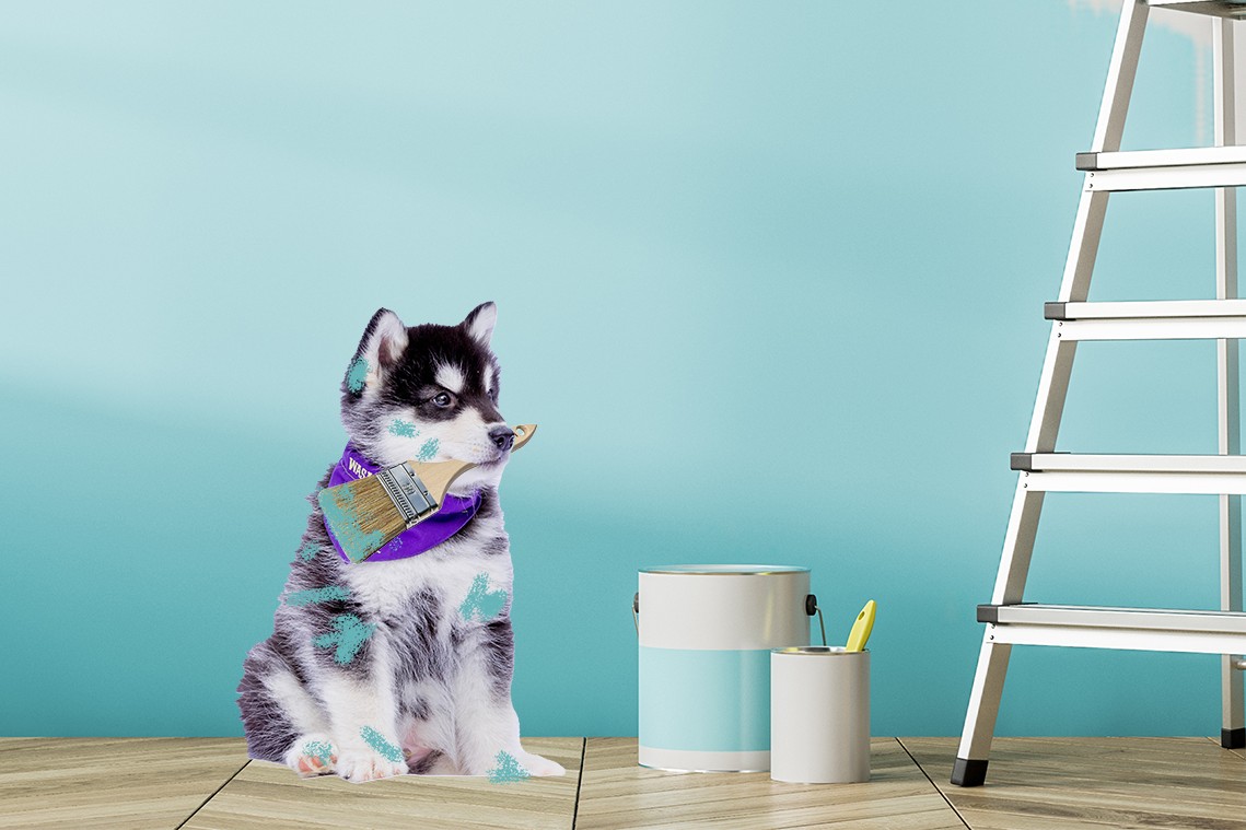 Baby Dubs holding a paintbrush in his mouth while covered in teal paint splotches. In the background is a ladder and paint bucket.