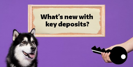 Dubs staring at a hand holding our a key, saying "What's new with key deposits?"