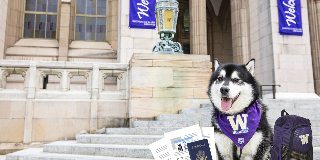 Dubs in front of Suzzallo library with I-9 documents and a backpack for the start of autumn quarter.