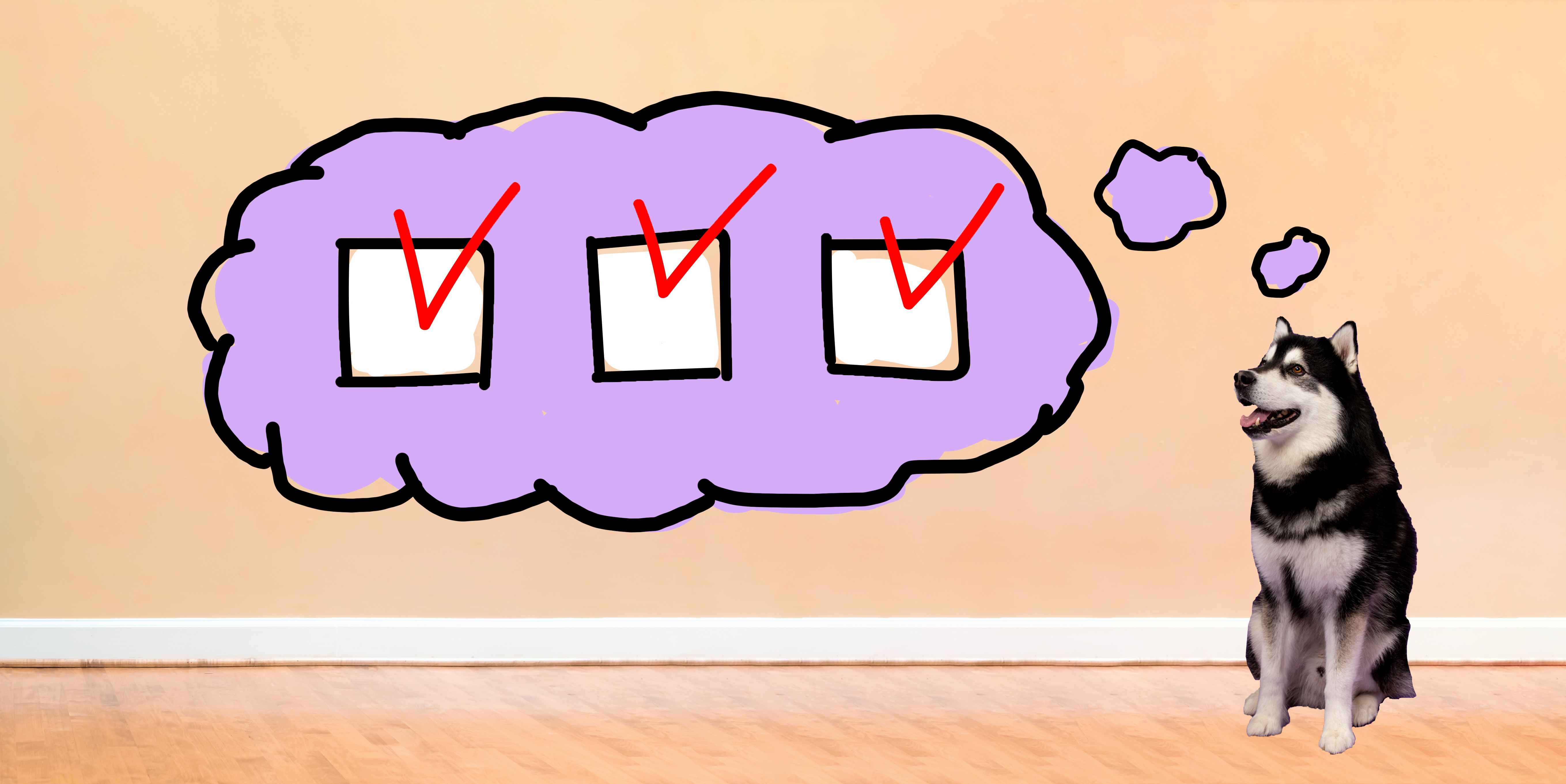 Dubs the Husky thinking about a checklist.