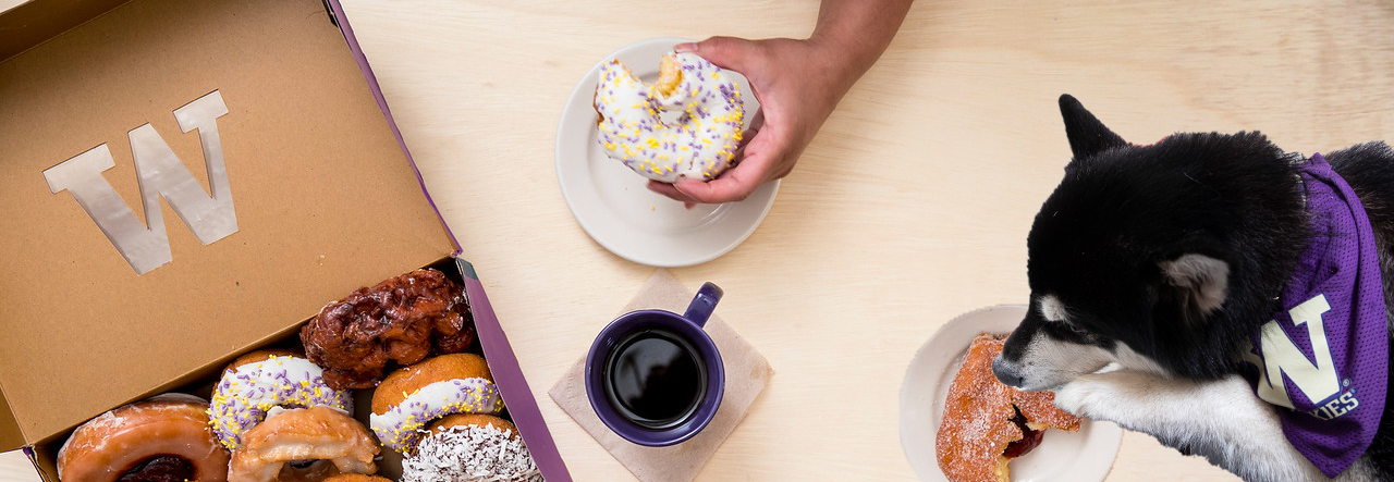 A person's hand holding a donut next to a cup of coffee and box of donuts. Dubs is eating his own donut.