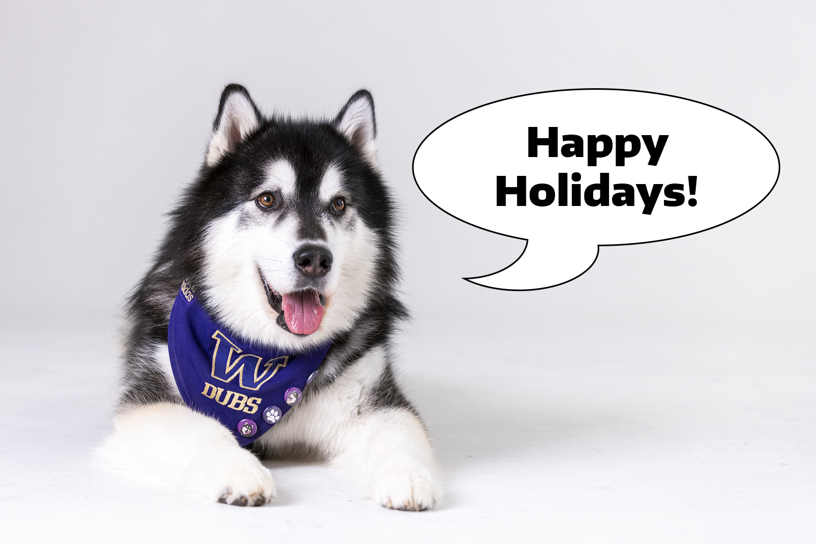 Dubs saying "Happy Holidays!"