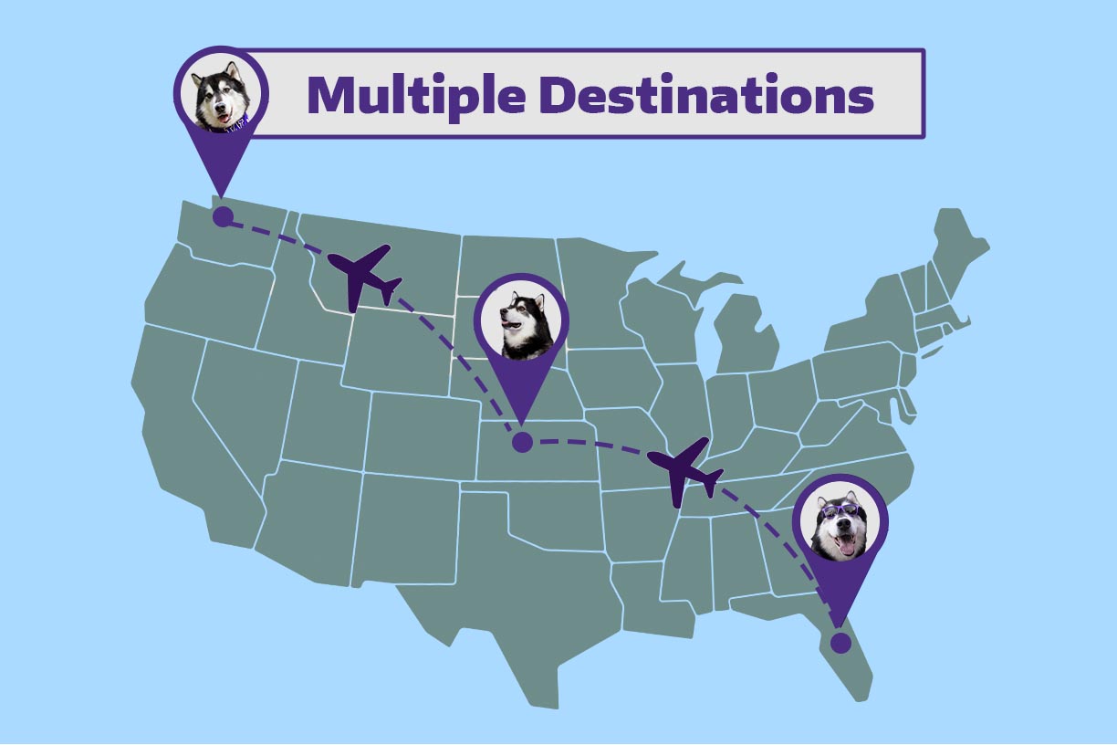 Dubs the Husky flying to multiple destinations across the U.S.