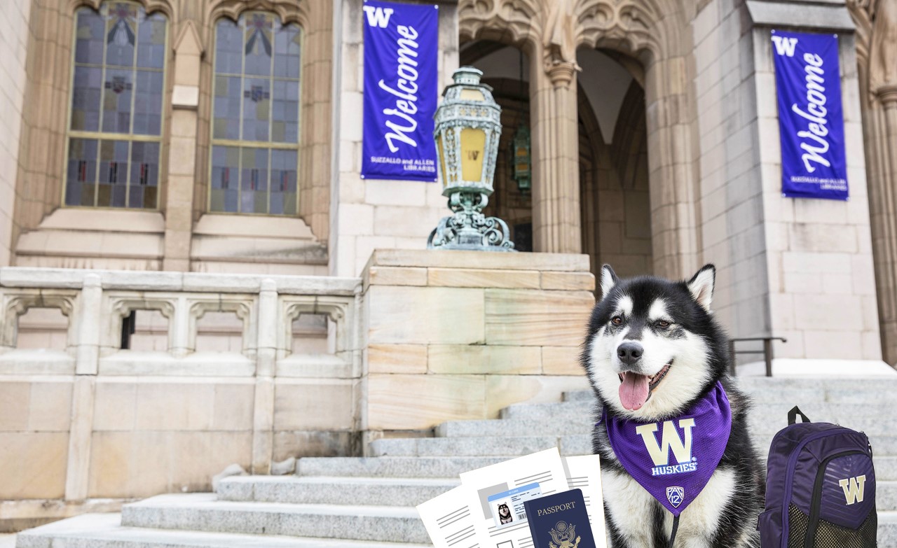 Dubs in front of Suzzallo library with his I-9 documents and a backpack