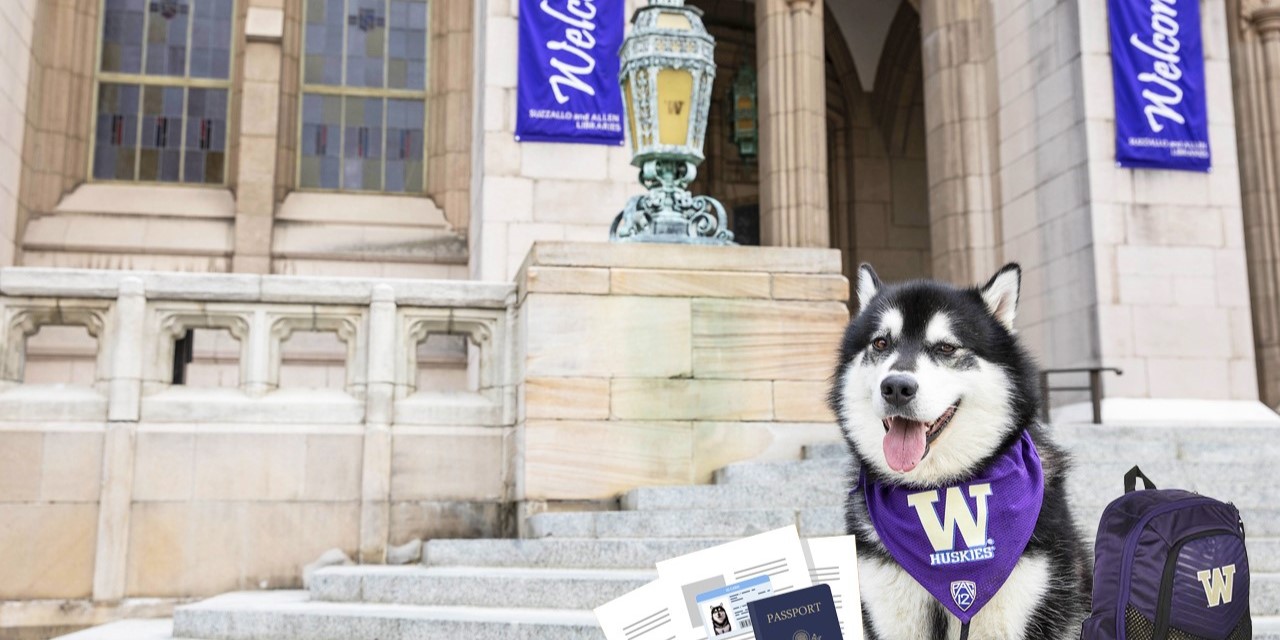 Dubs in front of Suzzallo library with a backpack and his I-9 documents