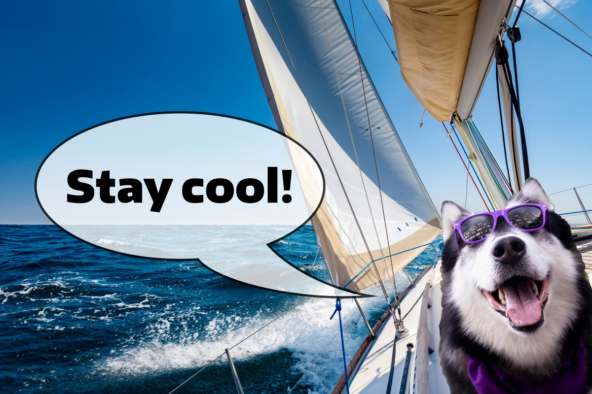 Dubs sailing and saying, "Stay cool!"