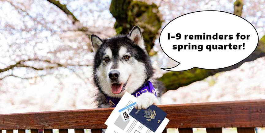 Dubs behind a bench holds documents in its paw, with a speech bubble saying, "I-9 reminders for spring quarter," in front of a blooming tree.