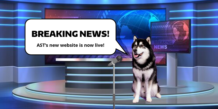Husky as a news anchor saying, "Breaking news! AST's new website is now live!"
