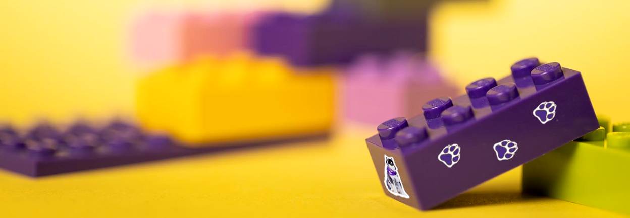 Lego pieces scattered around, with one Lego piece having Dubs and paw print stickers.