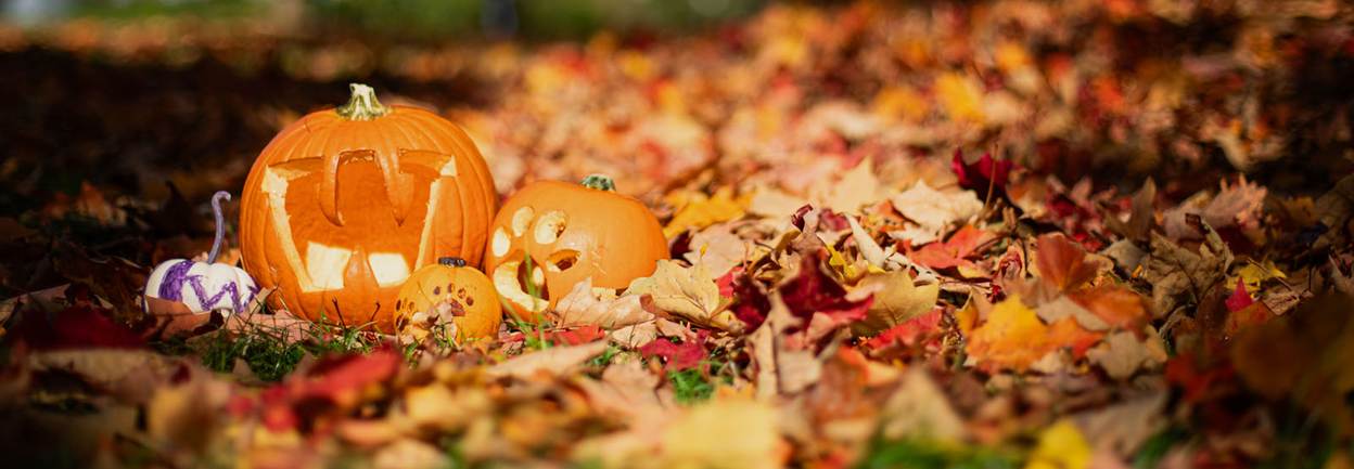 UW-branded pumpkins on a lawn of autumn leaves