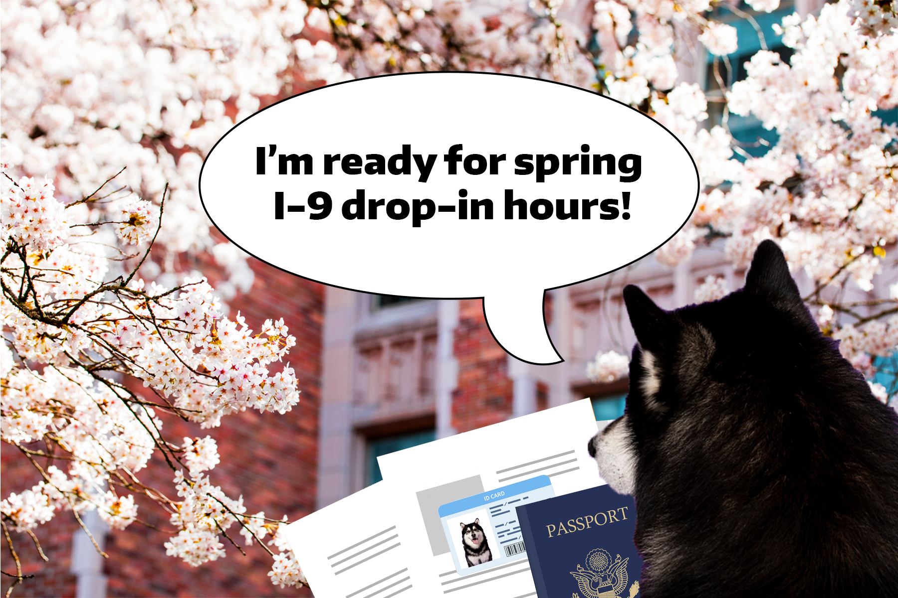 Dubs in front of cherry blossoms while holding I-9 documents and saying, "I'm ready for spring I-9 drop-in hours!"