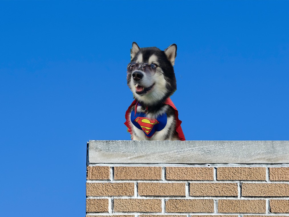 Dubs in a Superman costume on top of a building staring into the distance.