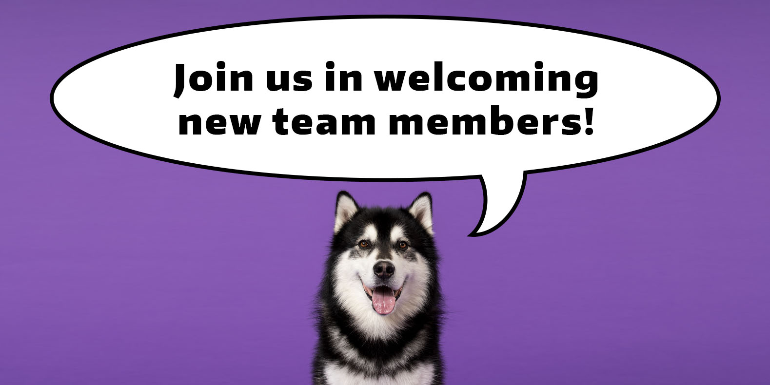 Dubs the Husky saying, "Join us in welcoming new team members!"