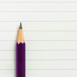 A purple pencil on top of a blank sheet of lined paper.